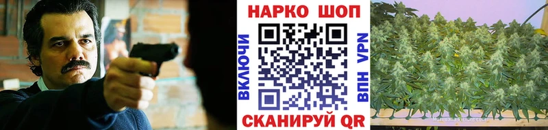 Что такое Щёкино ГАШИШ Канабис Cocaine Меф