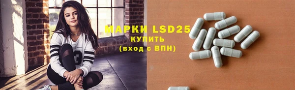 прущие грибы Абинск