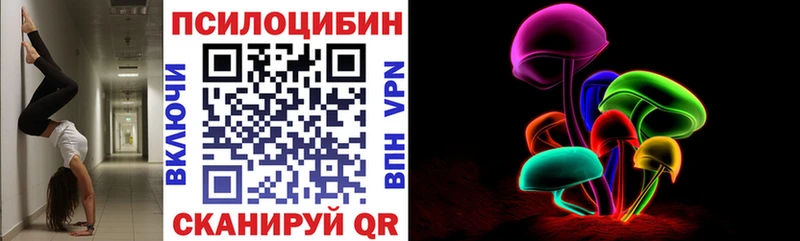 Галлюциногенные грибы Psilocybe blacksprut сайт Щёкино